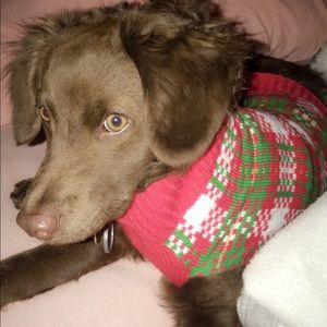 Meet your Posher, Ana